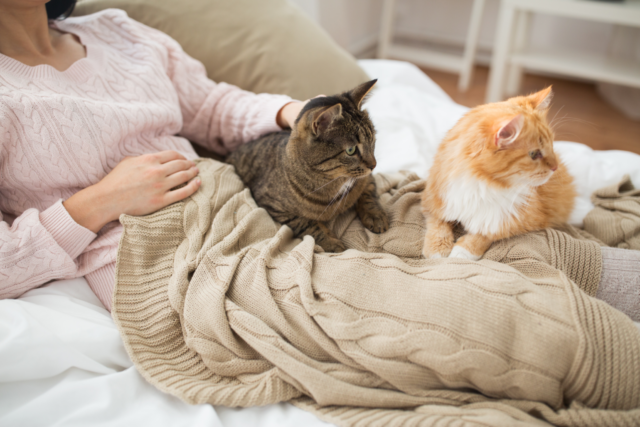 5 Signs Your Cat Loves You: Decoding Feline Affection